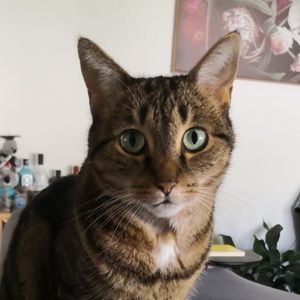 Meet your Posher, Sherry